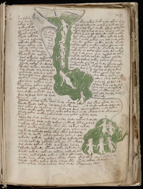 Manuscrito Voynich